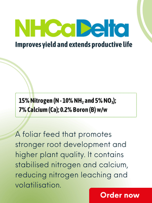 NH Ca Delta_thumbnail